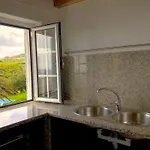 Casa Hortensia *