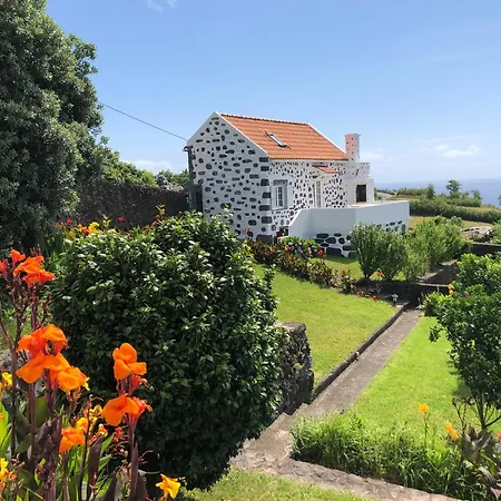 Vivenda Flores - Casa Hortensia Apartament *